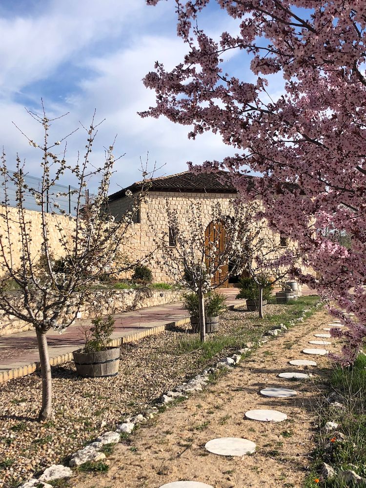 Delicatessen tapas restaurant spansk rødvin ribera del duero