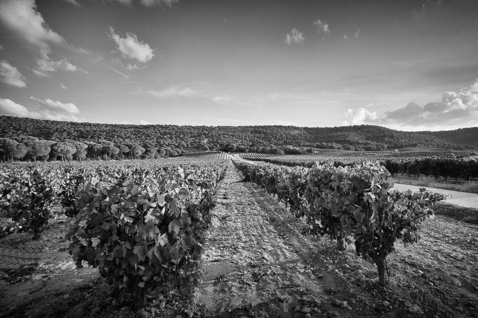 Delicatessen Tapasbar Winemakers Dinner Merete Bø Spansk Vin Rioja Ribera Del Duero