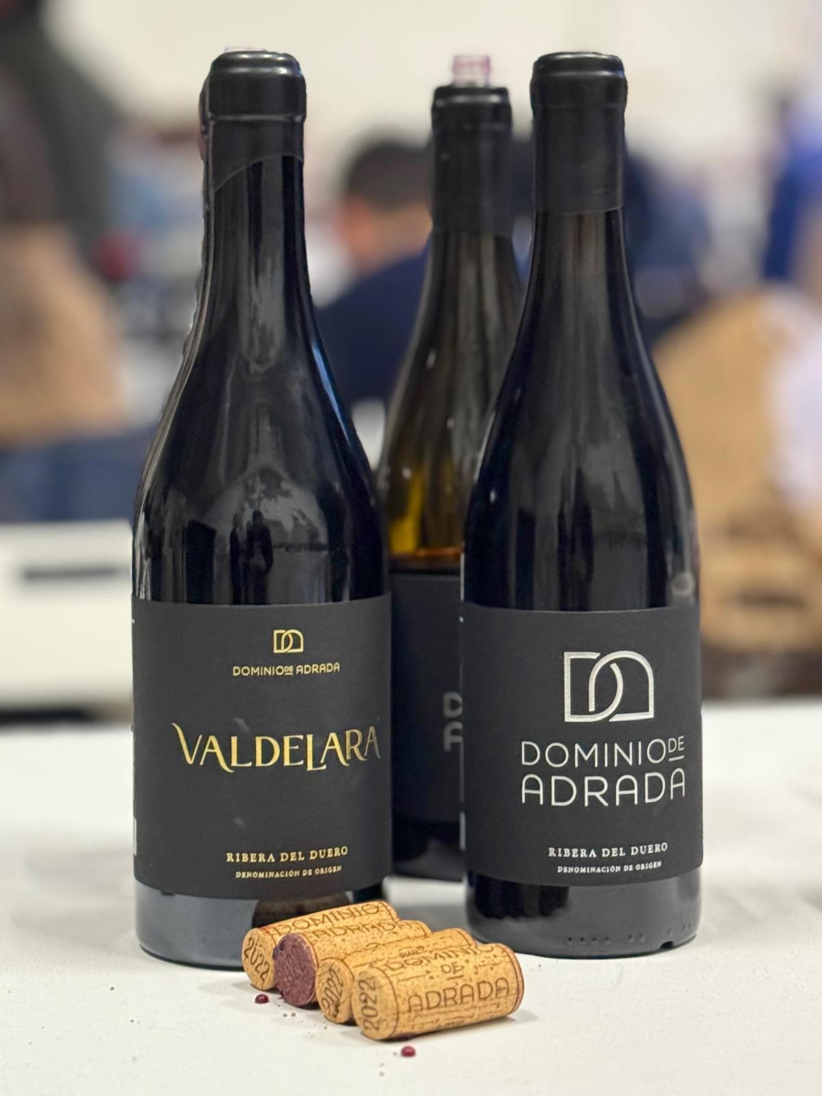 Delicatessen Vingård Ribera Del Duero Spansk Vin Dominio De Adrada