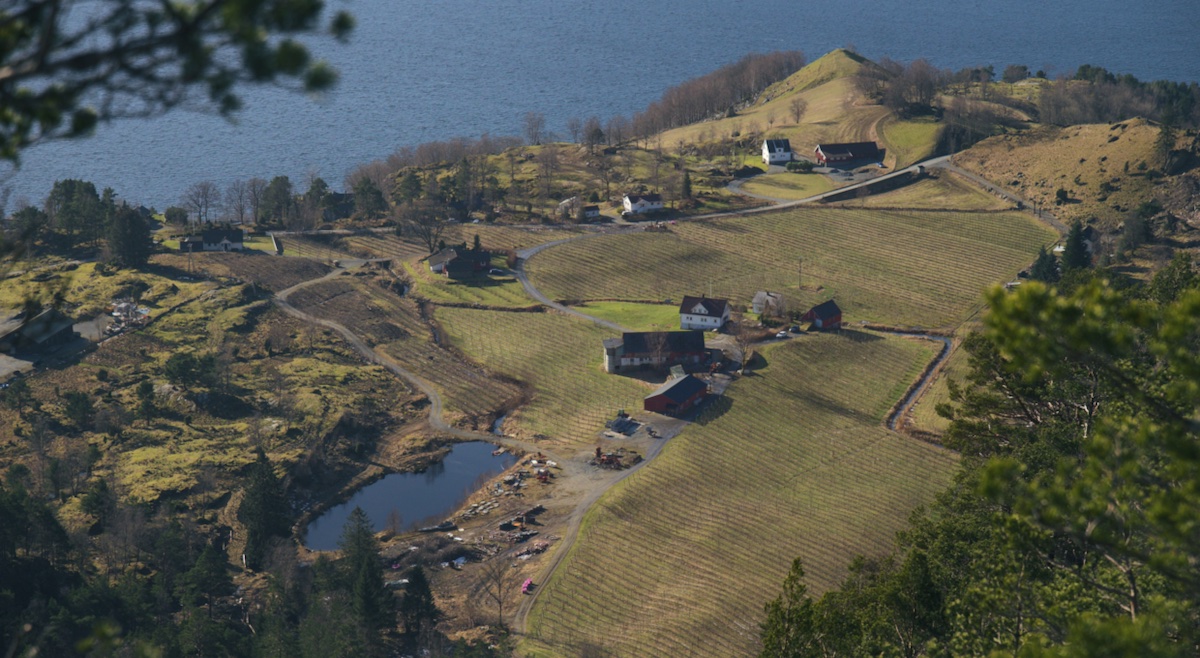Fuglestein Fruktgard norsk sider ryfylke eplehage